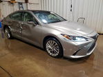 Lexus ES 2020