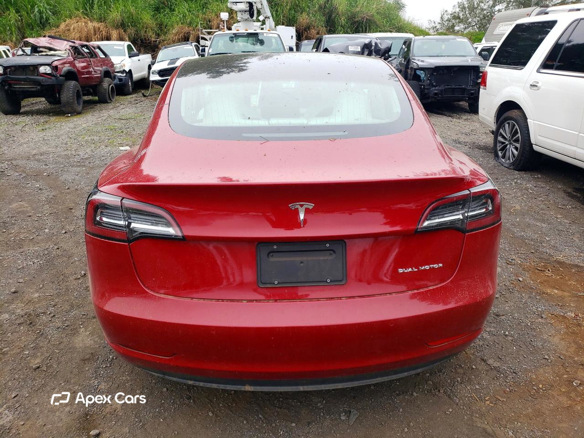 Tesla Model 3 2019
