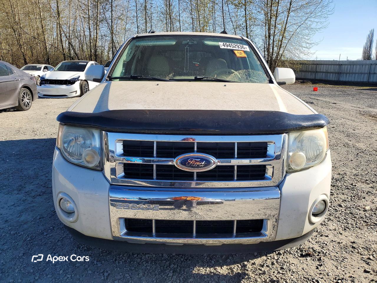 Ford Escape 2010