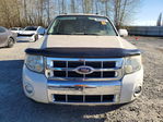 Ford Escape 2010