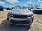 Dodge Hornet 2024