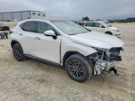 Lexus NX 2025