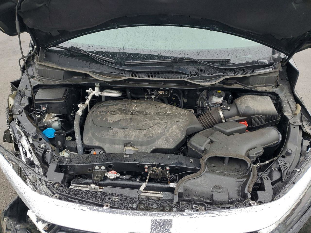 Honda Odyssey 2024