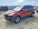 Ford Escape 2016