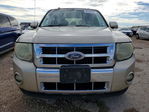 Ford Escape 2010