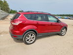Ford Escape 2013