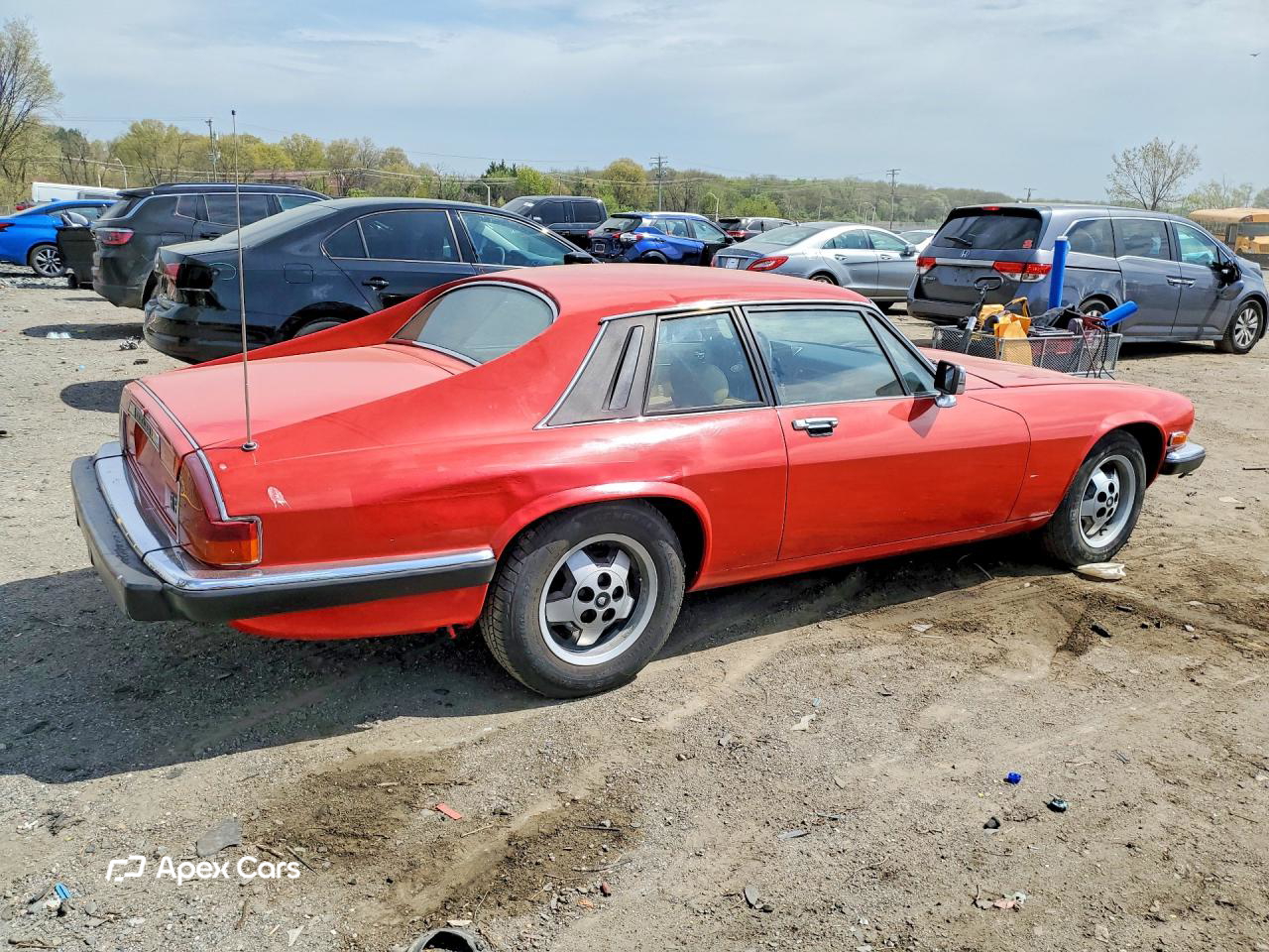 Jaguar XJS 1983