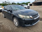 Honda Accord 2013
