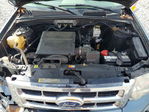 Ford Escape 2010