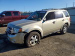Ford Escape 2012