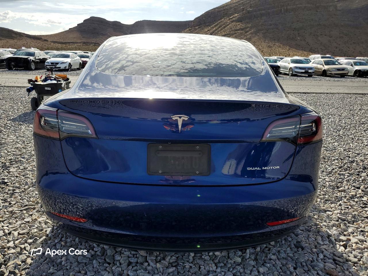 Tesla Model 3 2019