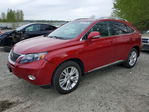 Lexus RX 2010