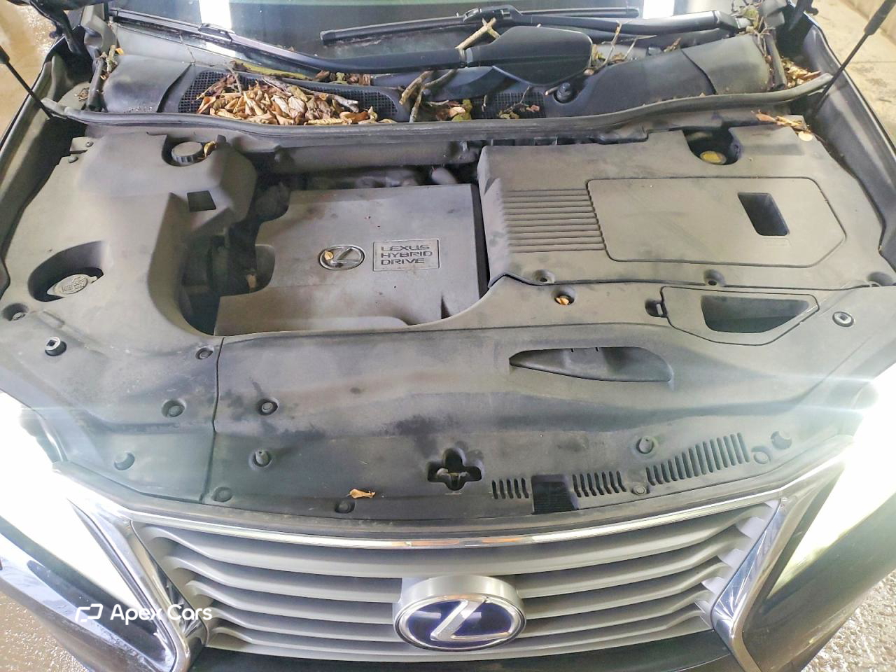 Lexus RX 2013