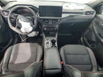 Ford Escape 2024