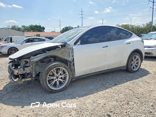 2024 Tesla Model Y - Image 1 of 13