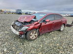 Honda Civic 2013