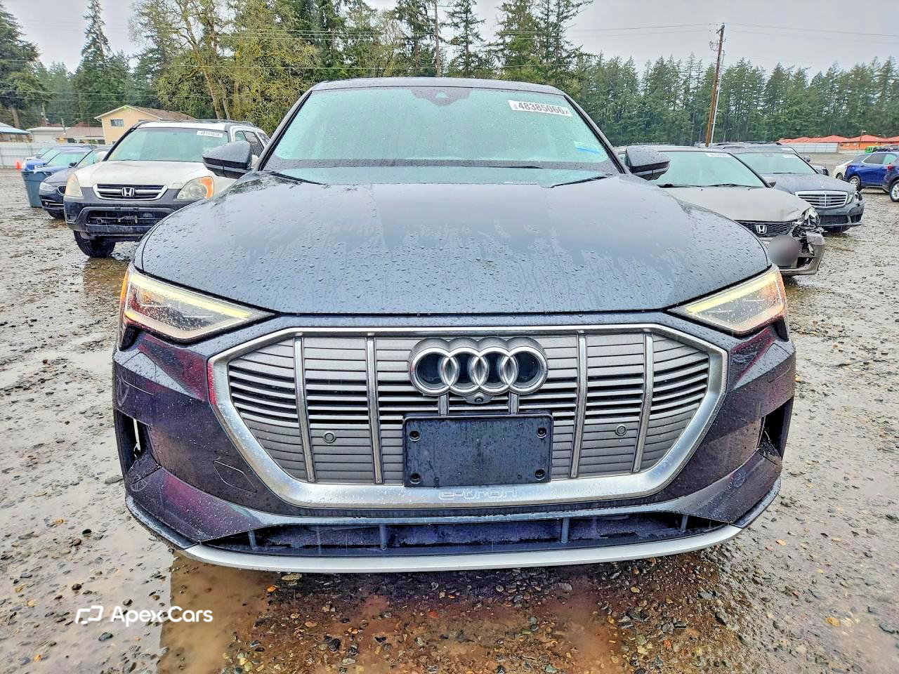 Audi e-tron 2020
