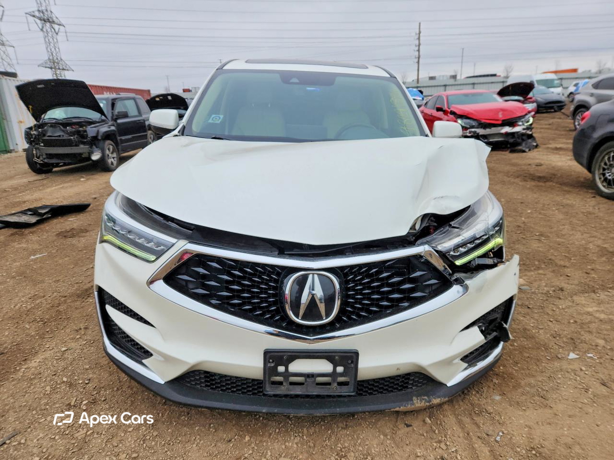 Acura RDX 2019