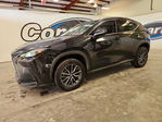 Lexus NX 2022