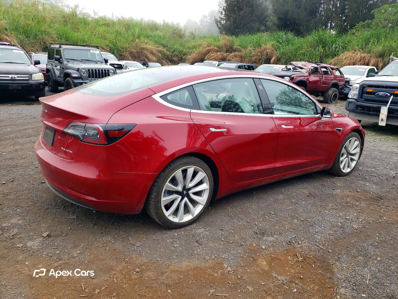Tesla Model 3 2019