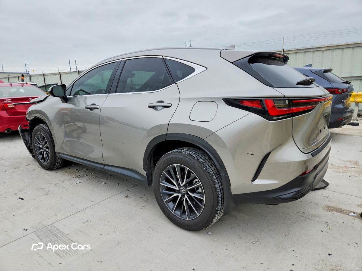 Lexus NX 2024