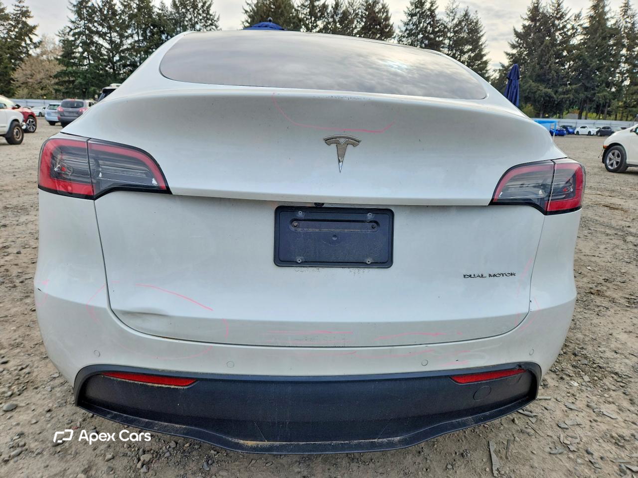 Tesla Model Y 2020