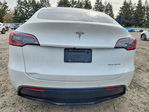 Tesla Model Y 2020