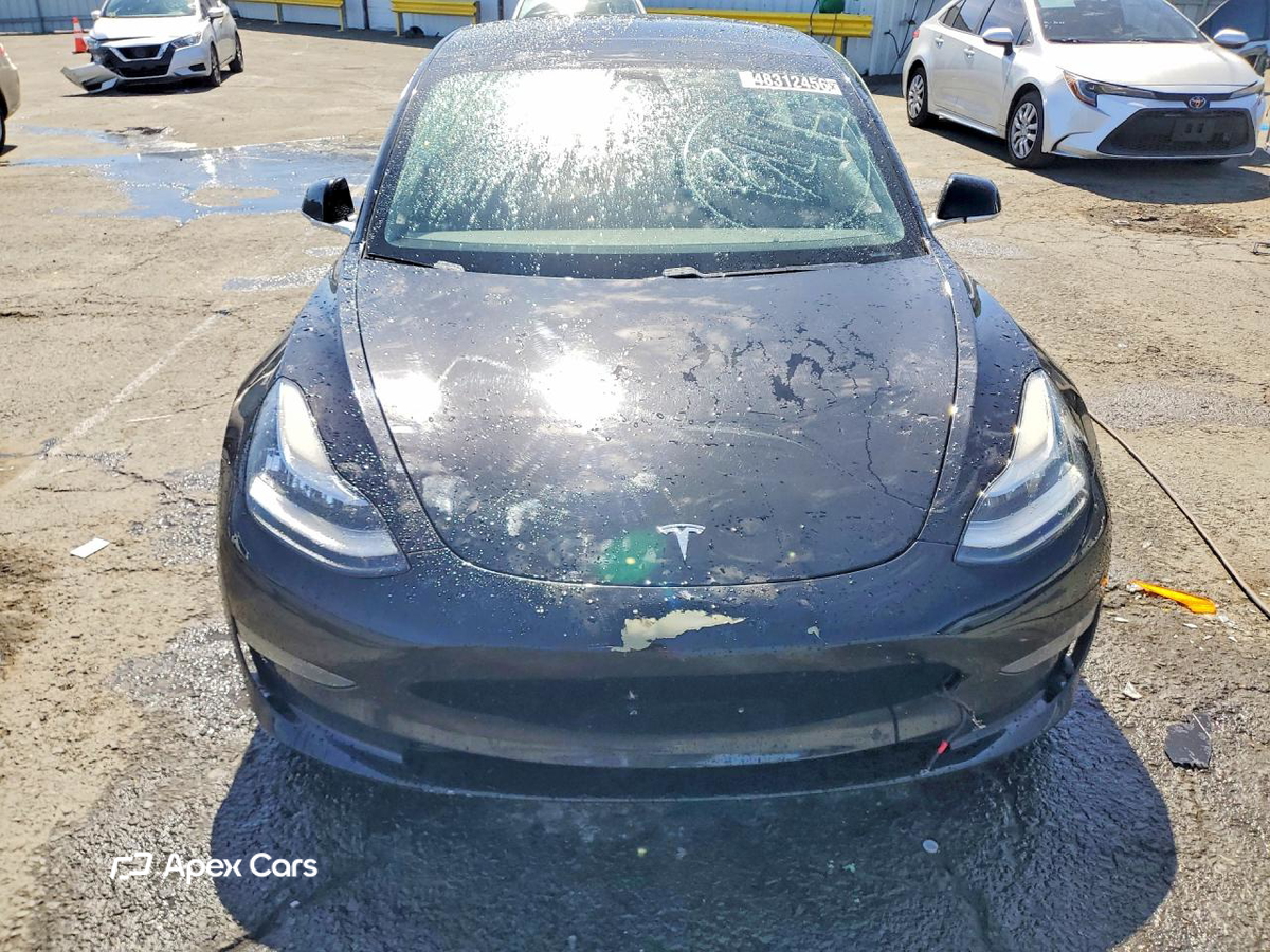 Tesla Model 3 2019