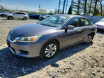 Honda Accord 2013
