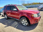Ford Escape 2010