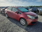 Kia Rio 2013