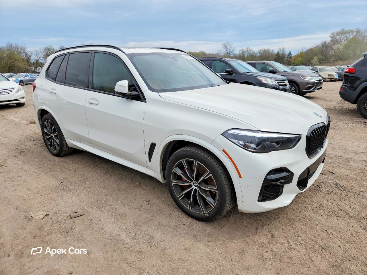 BMW X5 2023
