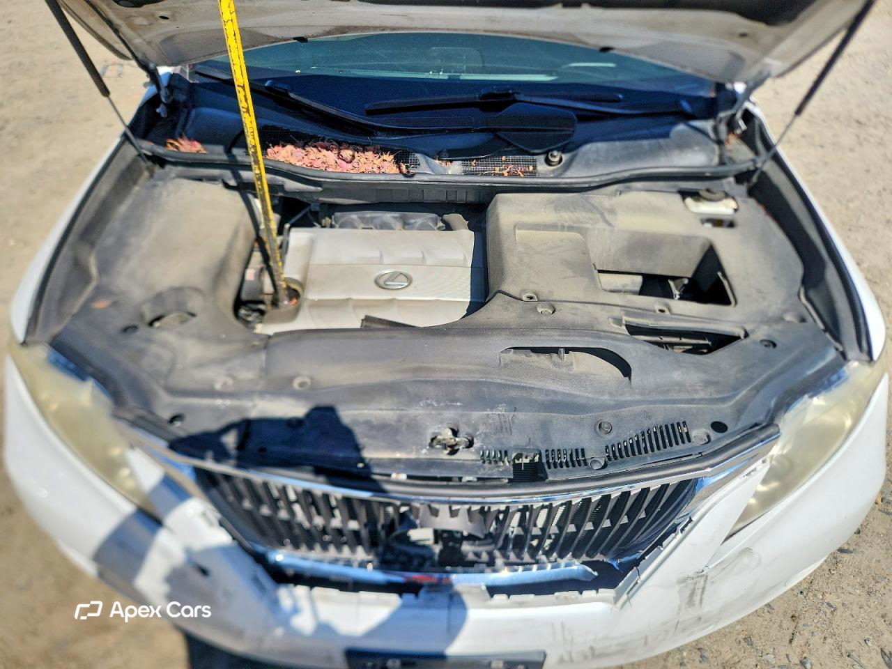 Lexus RX 2010