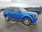 Ford Escape 2011