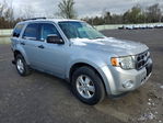 Ford Escape 2011