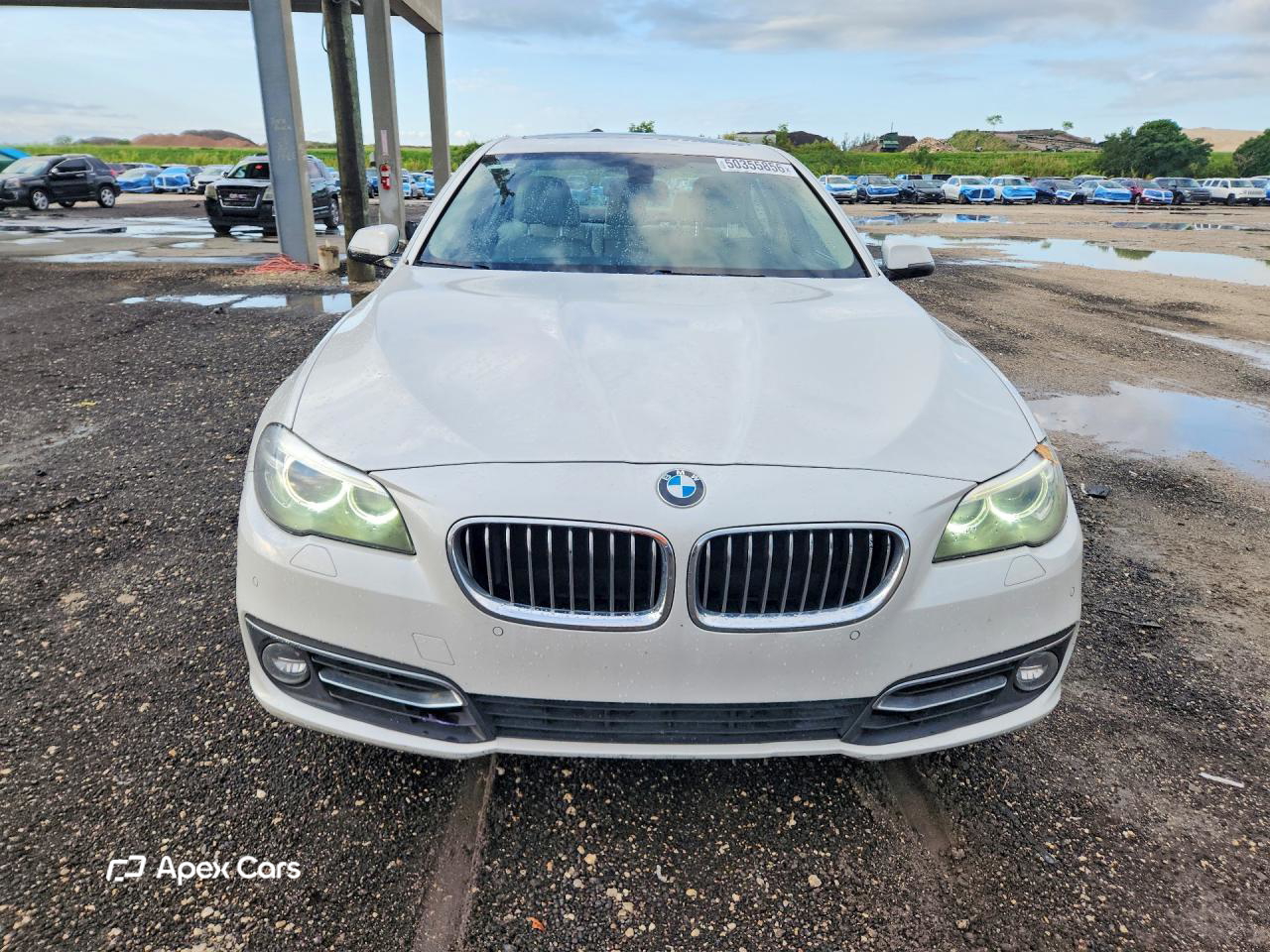 BMW Series 5 2014
