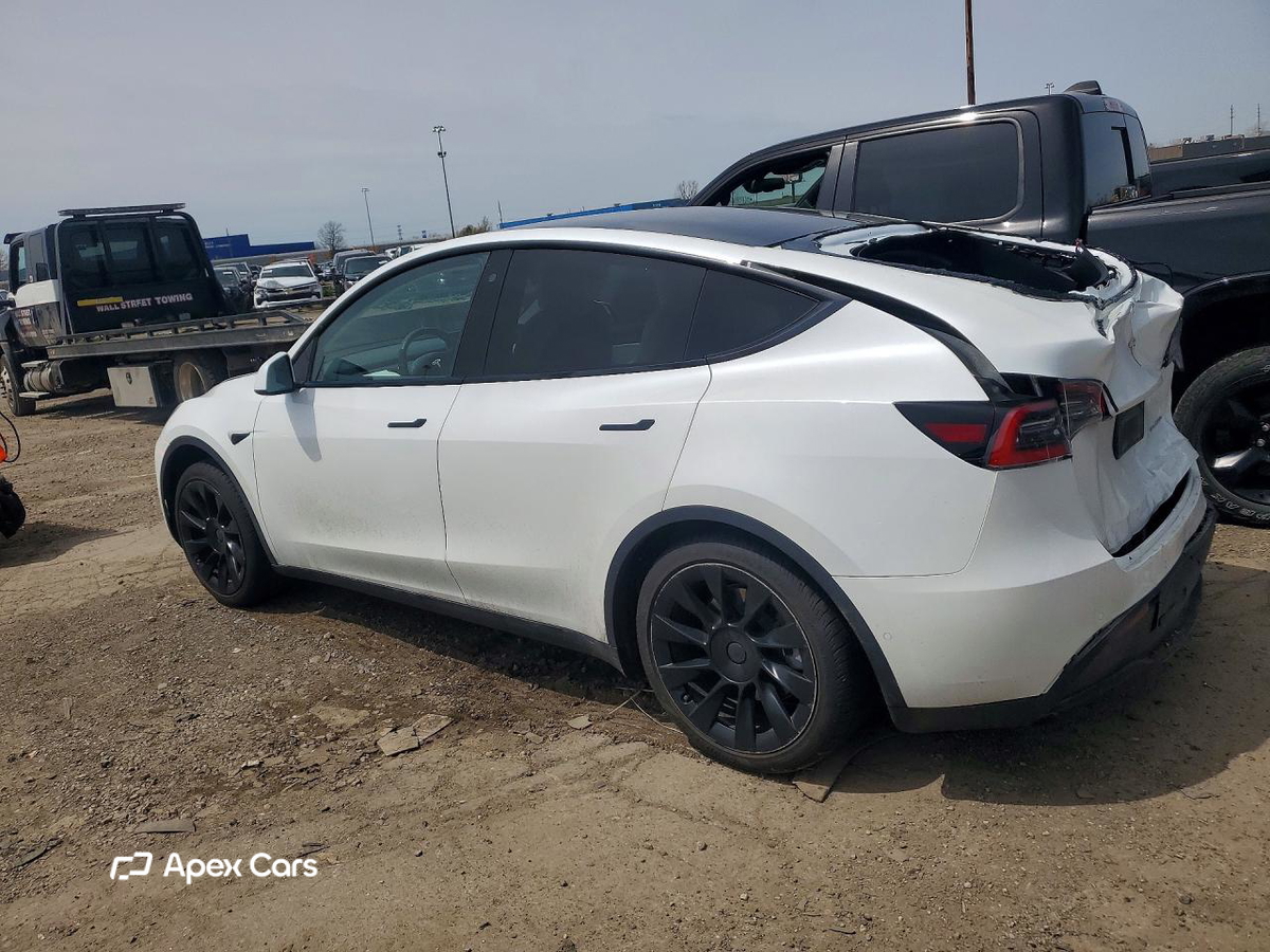 Tesla Model Y 2020