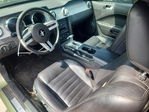 Ford Mustang 2005