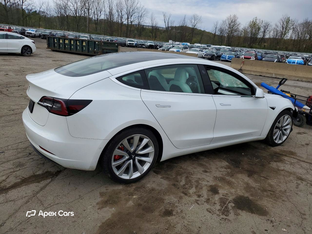Tesla Model 3 2019