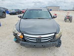 Honda Accord 2011