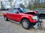 Ford F-150 2011