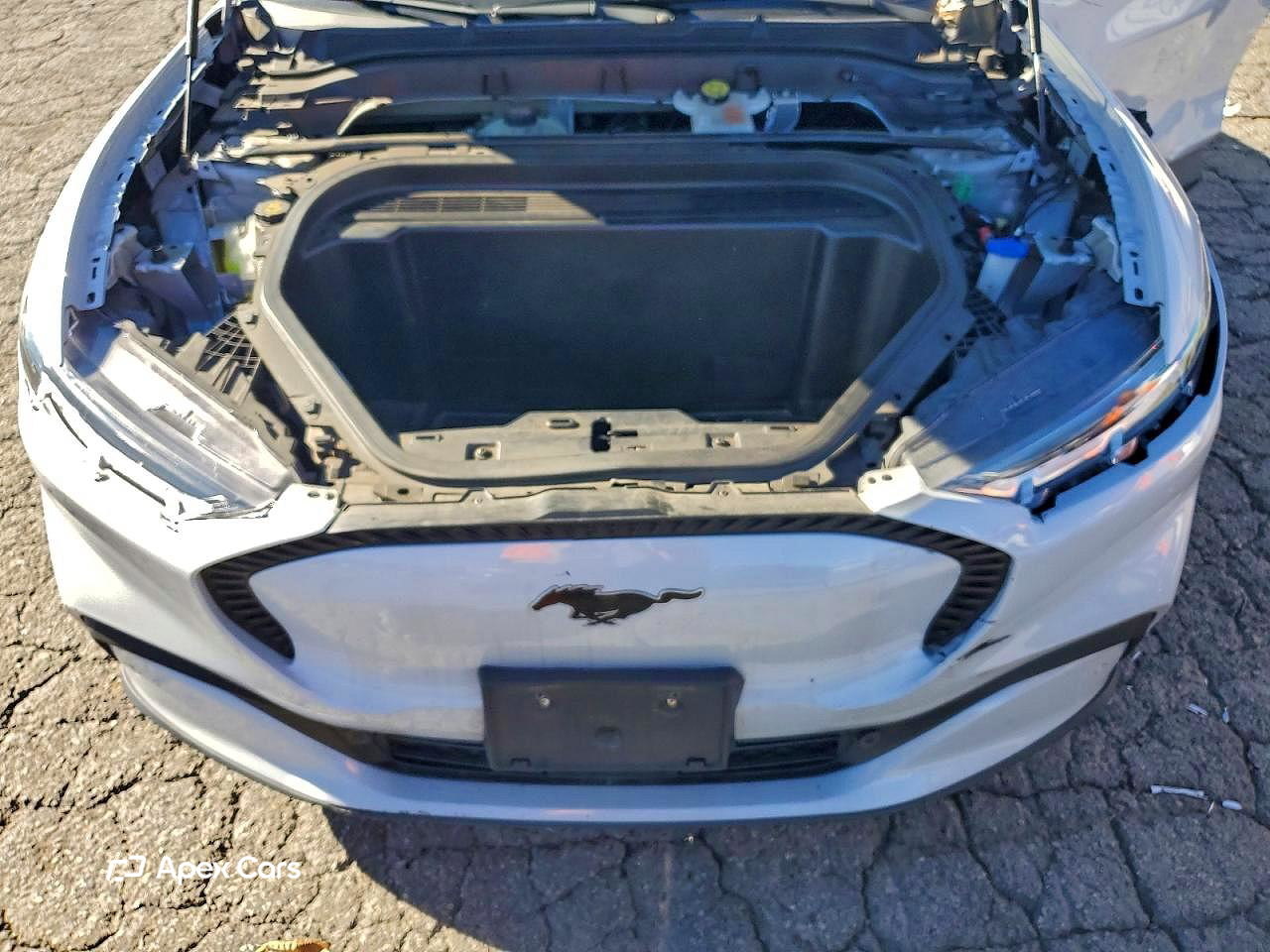 Ford Mustang 2022
