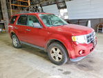 Ford Escape 2012