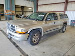 Dodge Dakota 2002