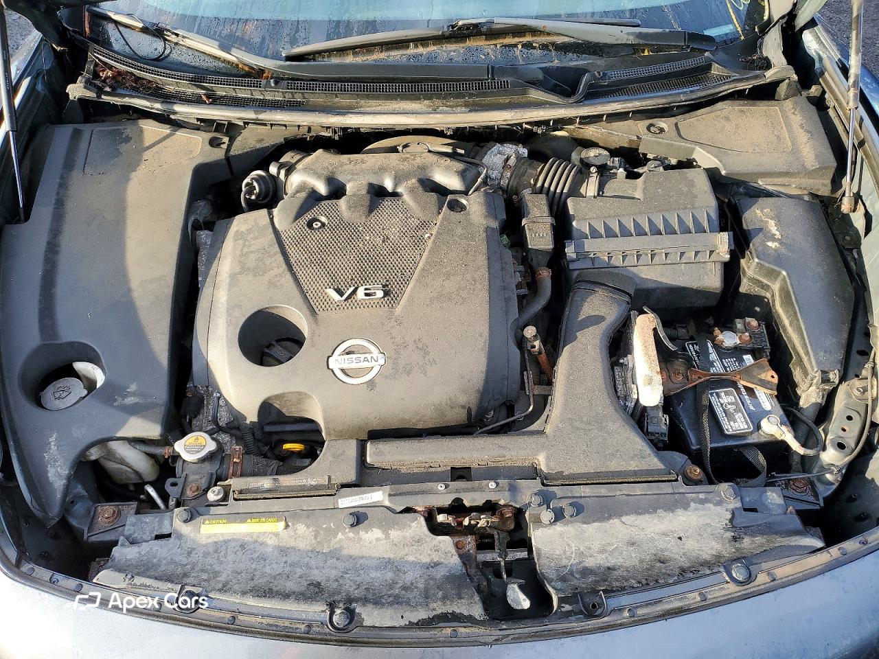 Nissan Maxima 2010