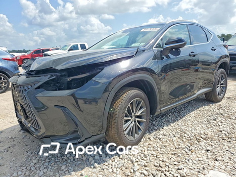 Lexus NX 2025 - Image 1 of 13