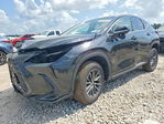 Lexus NX 2025