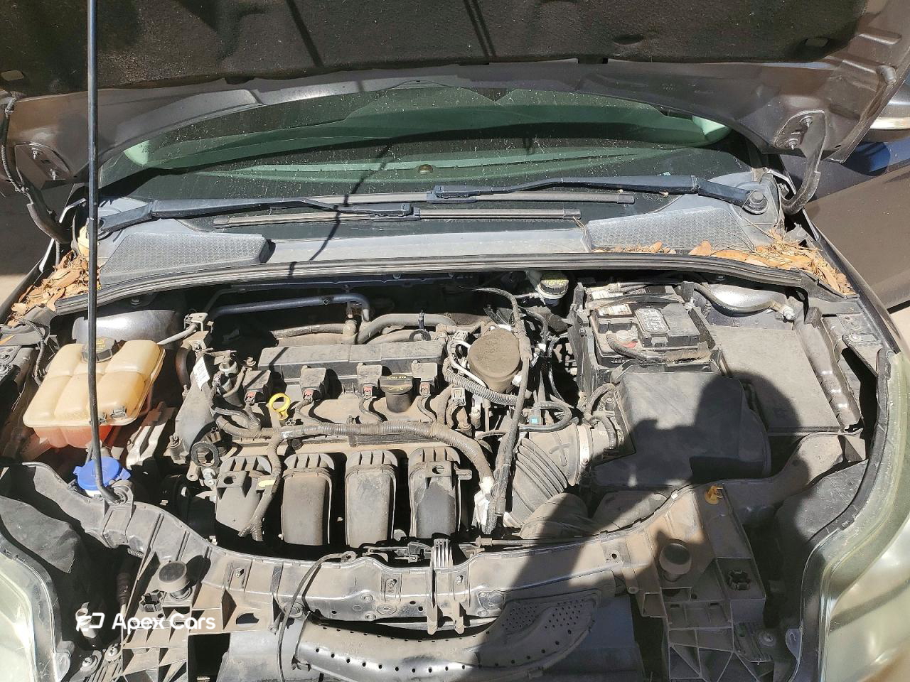 Ford Focus 2013