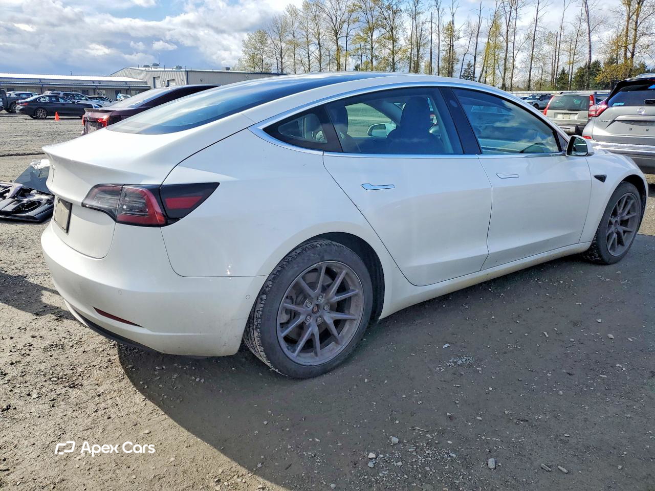 Tesla Model 3 2020