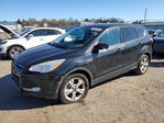Ford Escape 2015